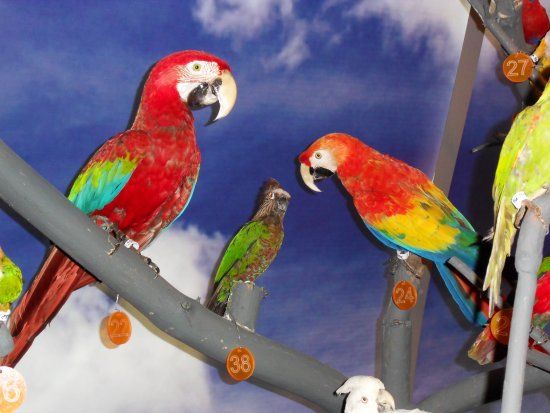 Muzeum Przyrodniczo-Łowieckie